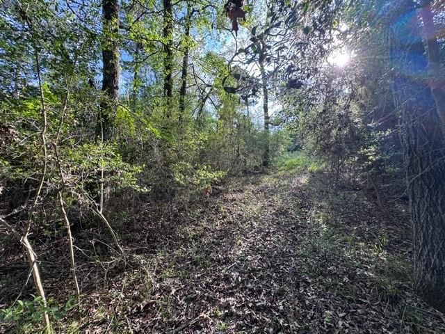 TBD10 Coral Gables, Trinity, TX 75862