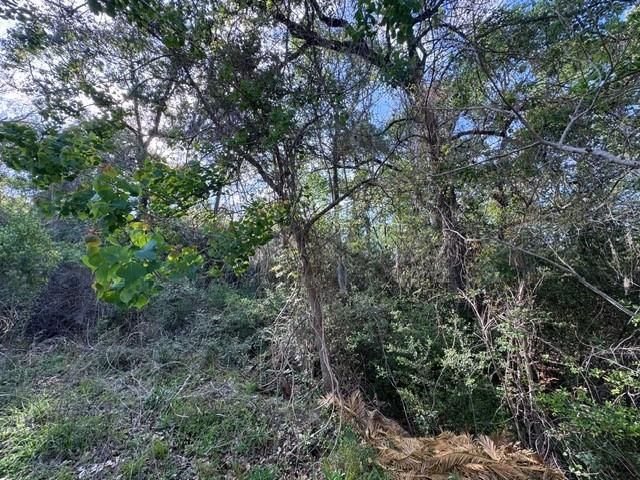 TBD10 Coral Gables, Trinity, TX 75862