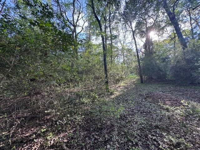 TBD10 Coral Gables, Trinity, TX 75862