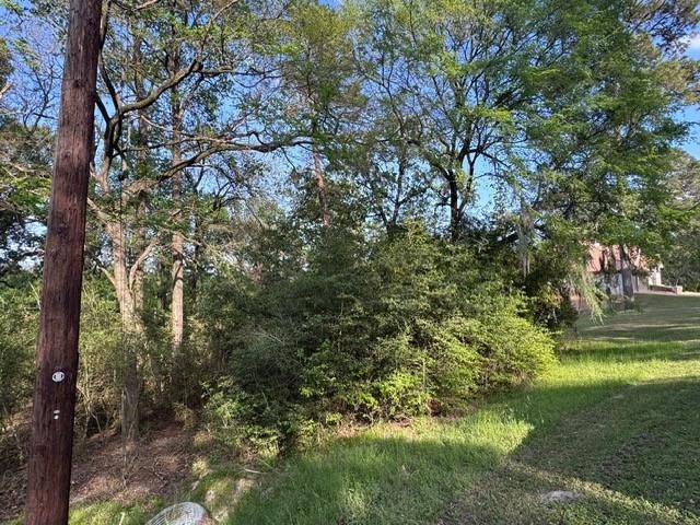 TBD10 Coral Gables, Trinity, TX 75862