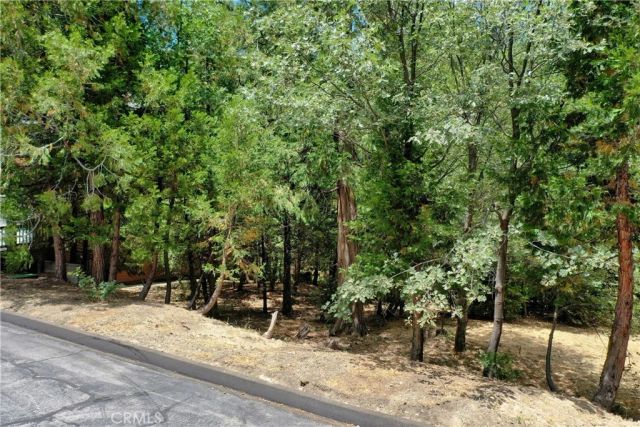 27513 Meadow Bay, Lake Arrowhead, CA 92352