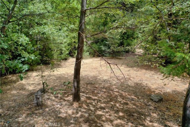27513 Meadow Bay, Lake Arrowhead, CA 92352