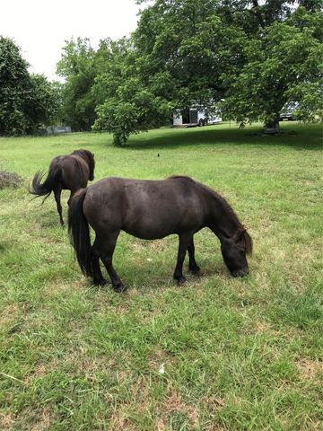 20311 State Highway 95, Holland, TX 76534