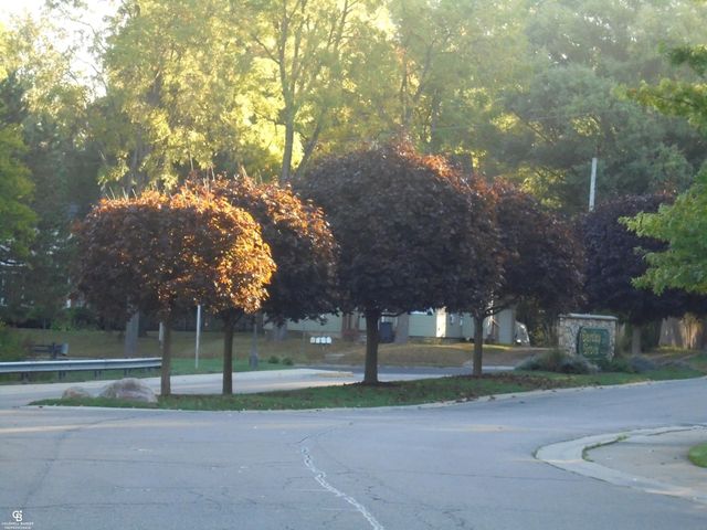 34852 Quail Trail, Richmond, MI 48062