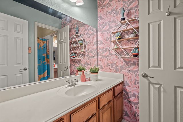 242 Livingston Drive, Hickory Creek, TX 75065