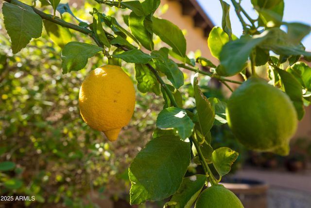 29704 N 156th Street, Scottsdale, AZ 85262