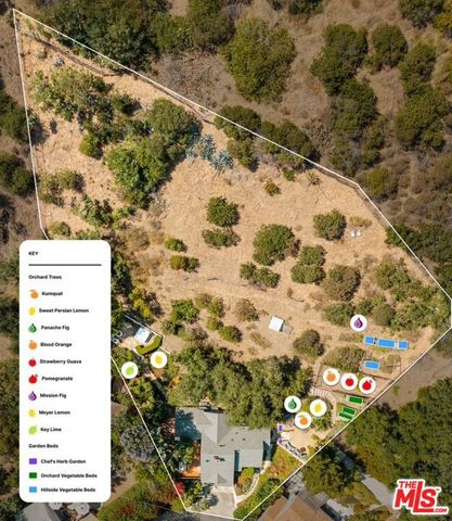 6871 Sunny, Los Angeles, CA 90068