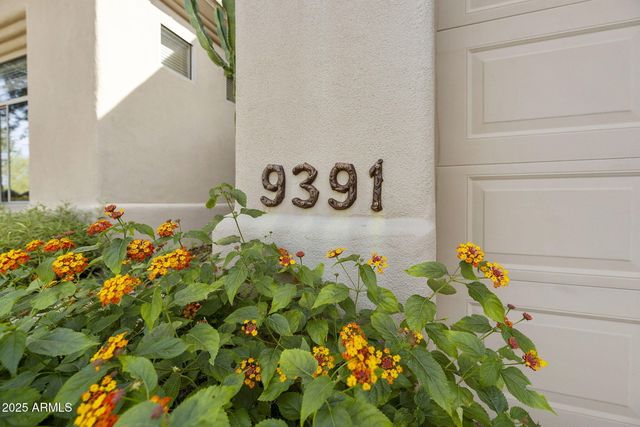 9391 E CAVALRY Drive, Scottsdale, AZ 85262