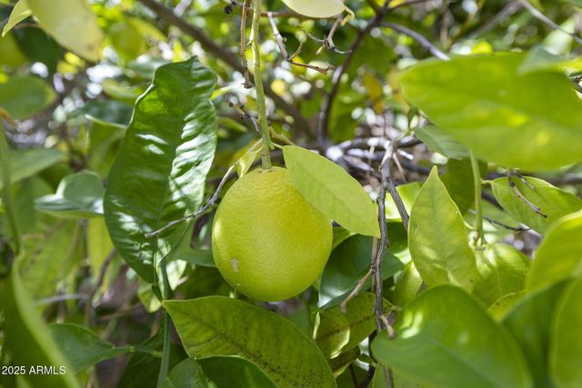 9391 E CAVALRY Drive, Scottsdale, AZ 85262