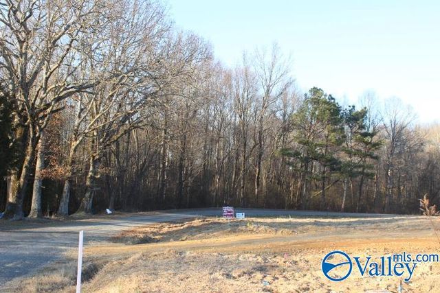 368 County Road 244, Fort Payne, AL 35968