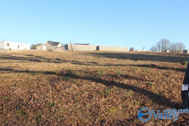 368 County Road 244, Fort Payne, AL 35968