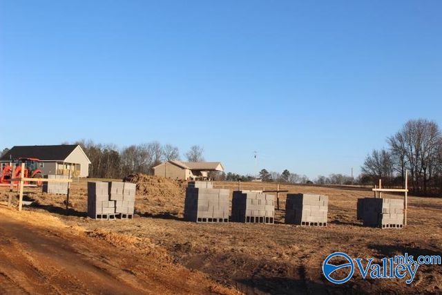 368 County Road 244, Fort Payne, AL 35968