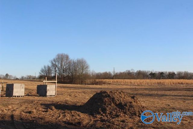 368 County Road 244, Fort Payne, AL 35968