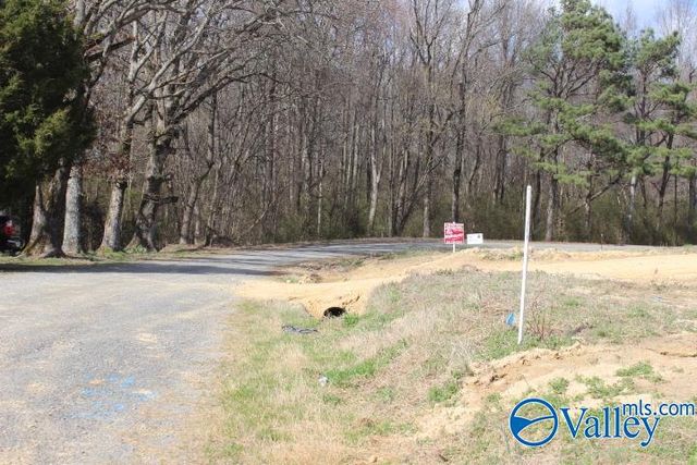 368 County Road 244, Fort Payne, AL 35968