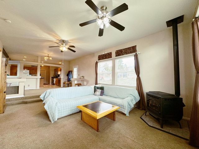 360 Forest Hill Road, Ridgway, CO 81432