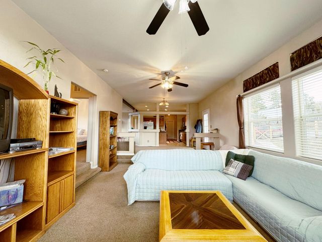 360 Forest Hill Road, Ridgway, CO 81432