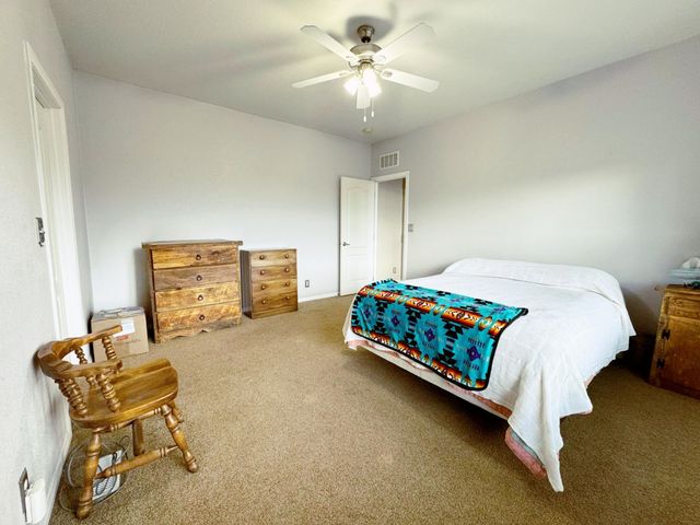360 Forest Hill Road, Ridgway, CO 81432