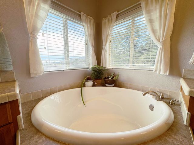 360 Forest Hill Road, Ridgway, CO 81432