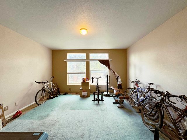 360 Forest Hill Road, Ridgway, CO 81432