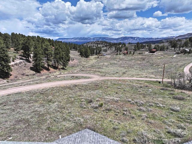 360 Forest Hill Road, Ridgway, CO 81432