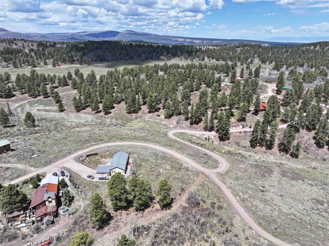 360 Forest Hill Road, Ridgway, CO 81432