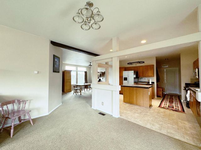360 Forest Hill Road, Ridgway, CO 81432