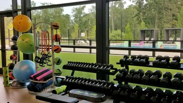 216 Harglow Court, Willis, TX 77318