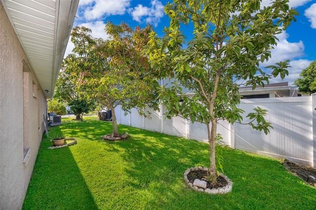 3116 ORCHARD PLACE, Kissimmee, FL 34743