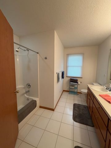 26033 W Lauren Drive, Channahon, IL 60410