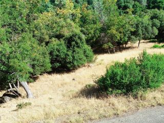 10610 Boren Bega Drive, Kelseyville, CA 95451