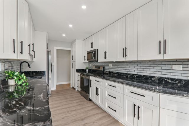 8650 Ferris Avenue 203, Morton Grove, IL 60053