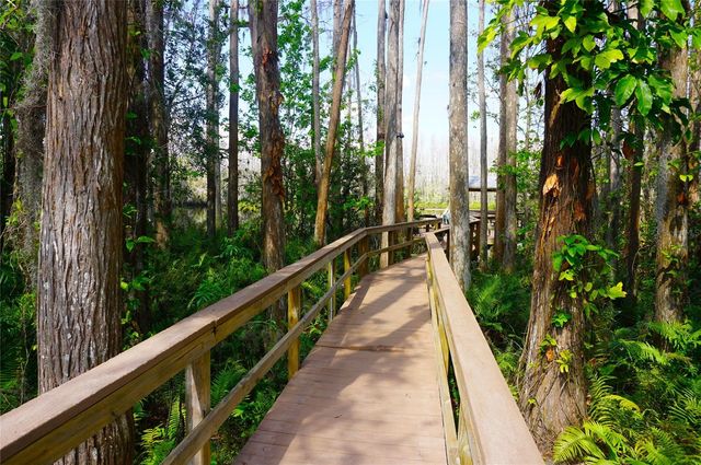 20857 HAULOVER COVE B14, Lutz, FL 33558