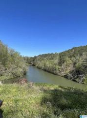 248 RIVERVIEW ROAD, Adger, AL 35006