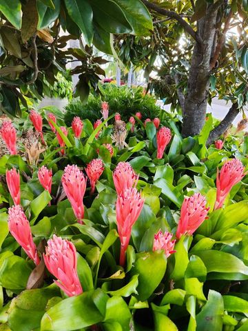 4248 LENOX BOULEVARD, Venice, FL 34293