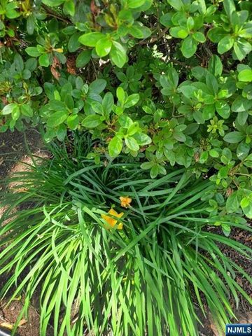 100 Huguenot Avenue 6B, Englewood, NJ 07631