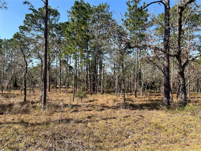 WATER OAK AVENUE, Dunnellon, FL 34431