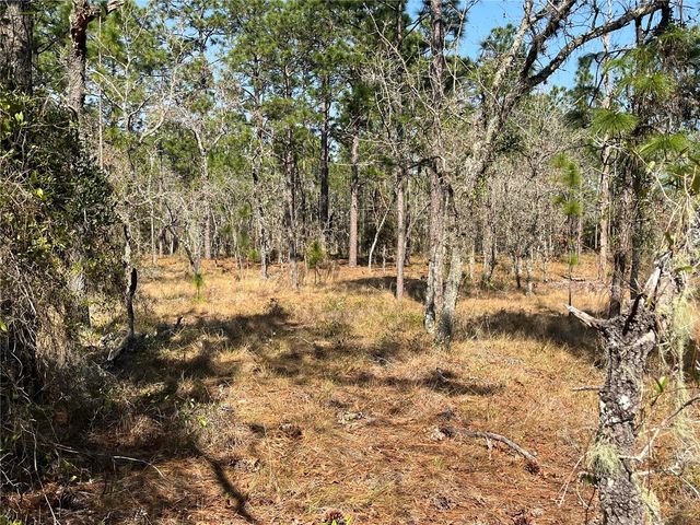 WATER OAK AVENUE, Dunnellon, FL 34431