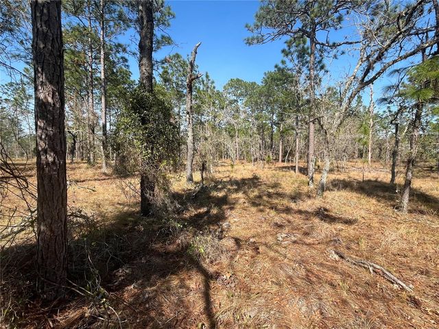 WATER OAK AVENUE, Dunnellon, FL 34431