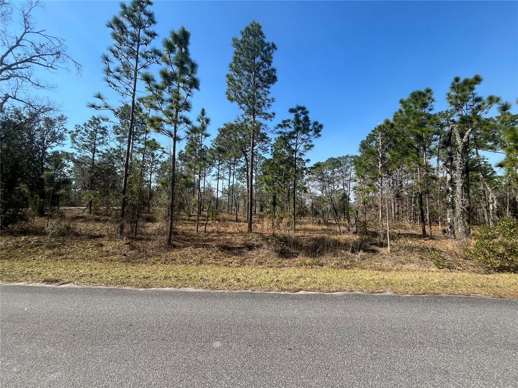 WATER OAK AVENUE, Dunnellon, FL 34431