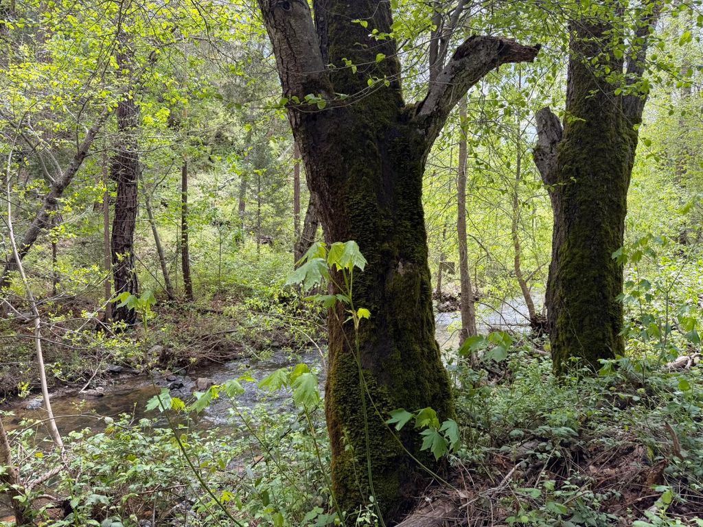 Image 11 of property listing at 39 Anderson Valley Road, Coulterville, CA 95311