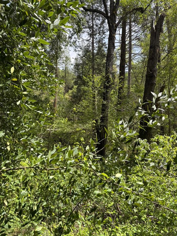 Image 12 of property listing at 39 Anderson Valley Road, Coulterville, CA 95311