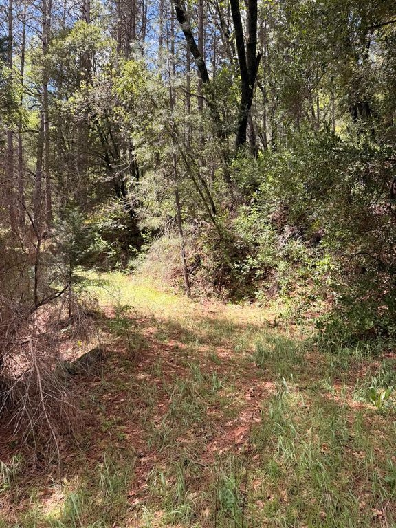 Image 13 of property listing at 39 Anderson Valley Road, Coulterville, CA 95311