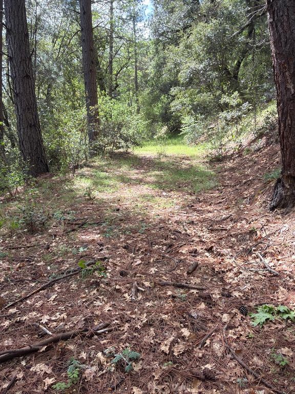 Image 15 of property listing at 39 Anderson Valley Road, Coulterville, CA 95311