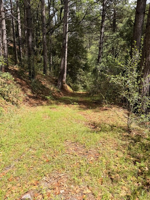 Image 16 of property listing at 39 Anderson Valley Road, Coulterville, CA 95311