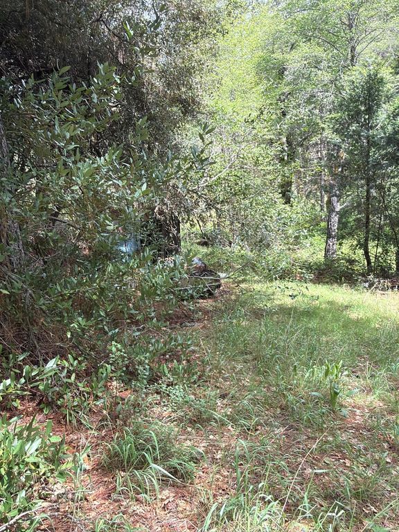 Image 17 of property listing at 39 Anderson Valley Road, Coulterville, CA 95311