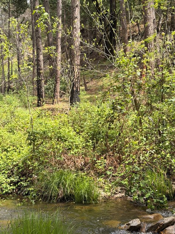 Image 19 of property listing at 39 Anderson Valley Road, Coulterville, CA 95311