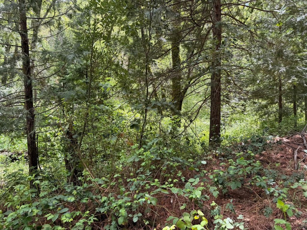 Image 2 of property listing at 39 Anderson Valley Road, Coulterville, CA 95311
