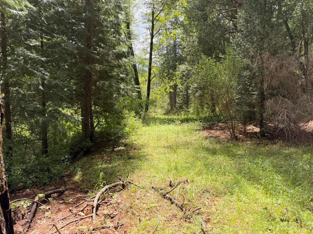 Image 20 of property listing at 39 Anderson Valley Road, Coulterville, CA 95311