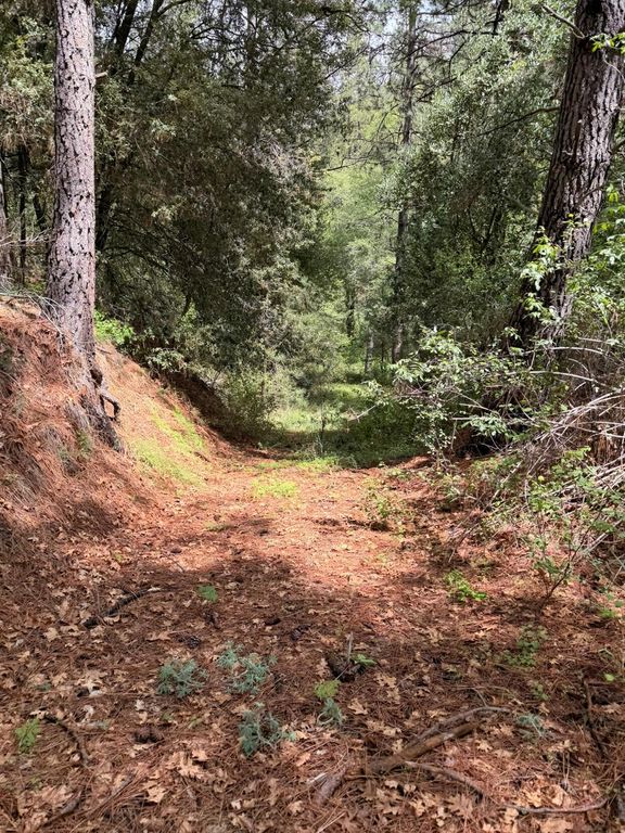 Image 21 of property listing at 39 Anderson Valley Road, Coulterville, CA 95311
