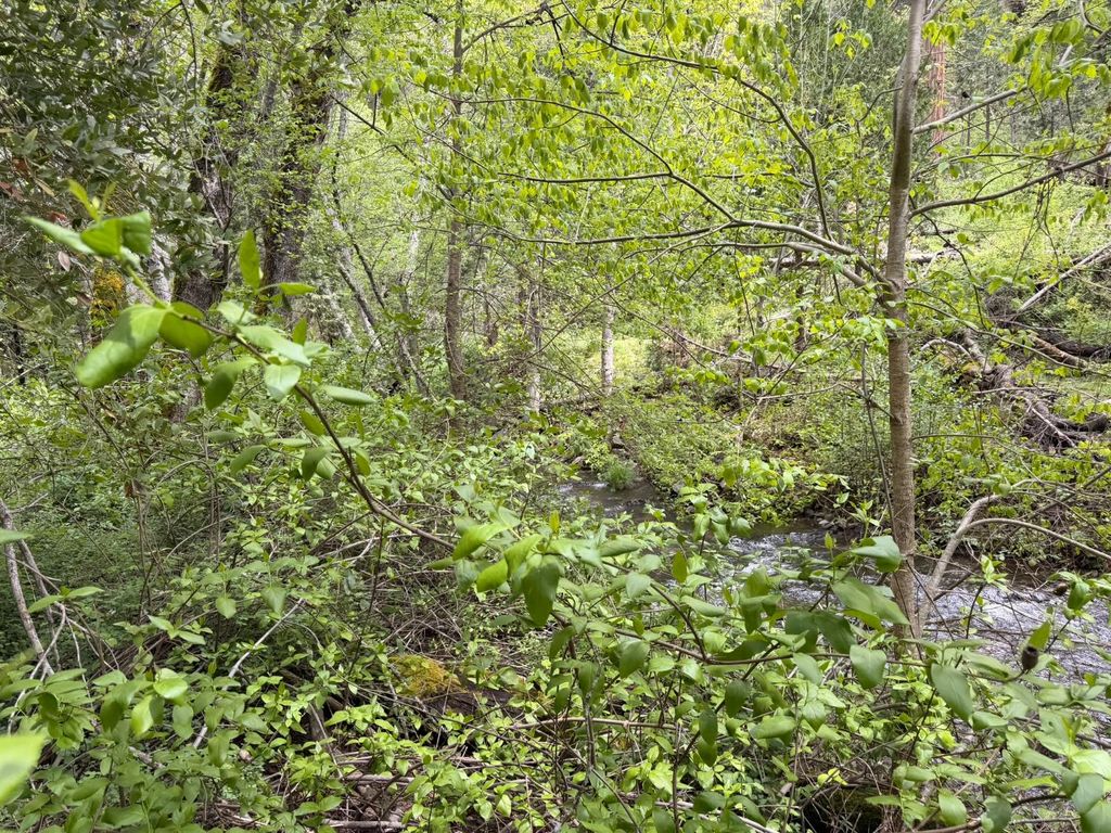 Image 22 of property listing at 39 Anderson Valley Road, Coulterville, CA 95311